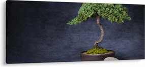 Kép - Bonsai (120x50 cm)