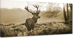 Vászonkép 60x30 Szarvas erdő naplemente