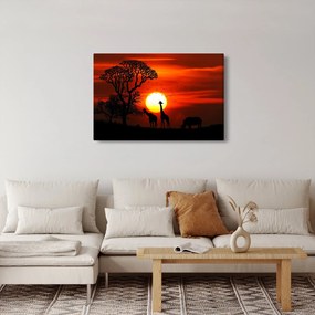 Kép - Állatok sziluettjei napnyugtakor (90x60 cm)