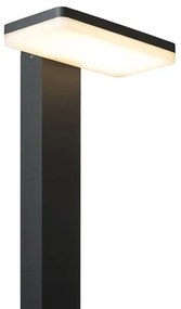 RED - Design Rendl - R12515 - LED Kültéri lámpa RINA LED/12W/230V IP44