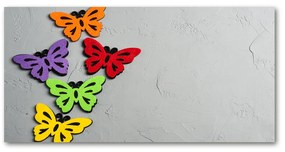 Akrilkép Színes pillangók oah-128188702