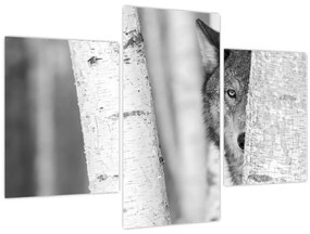 Kép - Farkas az erdőben (90x60 cm)