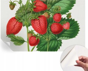 Öntapadós Dekoratív Fotótapéta Hálószobába Nyári gyümölcsök 416x254 cm