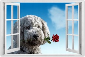 Poszterek 120x80 Szerelmes korcs szerelem