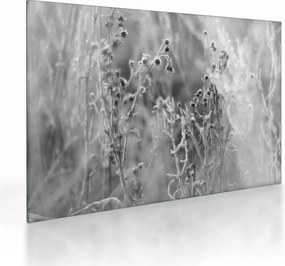 Üveg kép - Wild Meadow (70x50 cm)