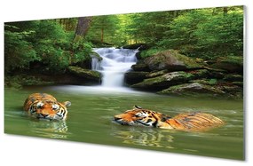 Üvegképek vízesés tigrisek 100x50 cm
