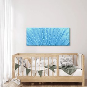 Kép - Makro felvétel egy virágról (120x50 cm)