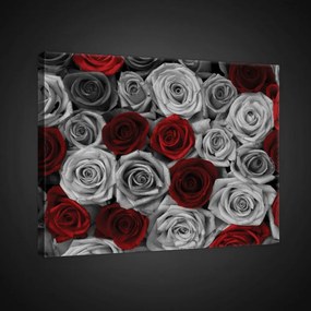 Vászonkép, Rózsák, 100x75 cm méretben