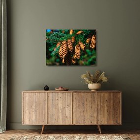 Fenyőtobozok képe (üvegen) (70x50 cm)