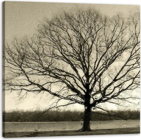Vászonkép Sötét fekete fa Szomorúság 90X90 cm Ideális ajándék