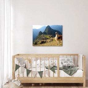Kép - Láma és Machu Picchu (70x50 cm)