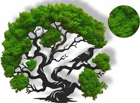 Kép Moha Fa Madár Ajándék Fal Neki Moha