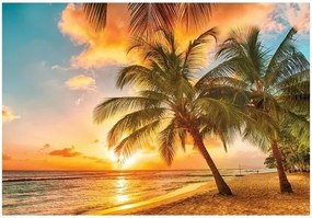 Fotótapéta naplemente tengerpart pálmafák 368 x 254