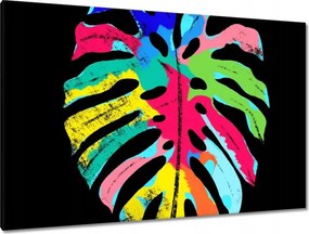 Vászonkép 120x80 Színes Monstera levél