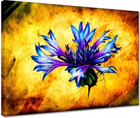 Vászonképek 40x30 Modrak