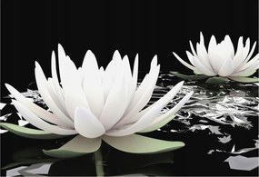 Dekoratív Fotótapéta Hálószobába Víz virágok 152x104 Ragasztó