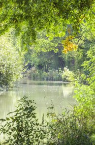 Poszter 53x81cm Basingstoke csatorna, Assaf Frank