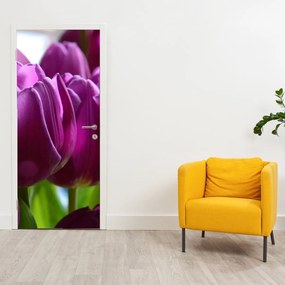 Fotótapéta ajtóra - Tulipánok (95x205cm)