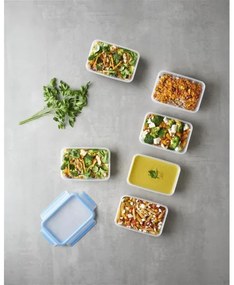 Tefal - KÉSZLET 6x Élelmiszer tartó 0,8 l MASTER SEAL FRESH kék