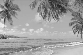 Dekoratív fotótapéta az irodába Trópusi paradicsom 104x70 Ragasztó