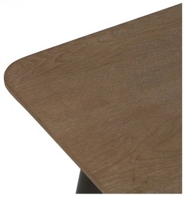 Barna jegenyefenyő dohányzóasztal 60x120 cm Paul – Ixia