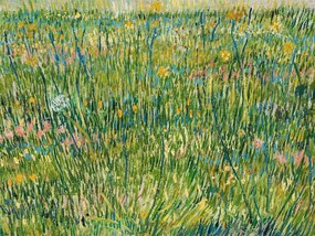 Reprodukció A Patch of Grass - Vincent van Gogh