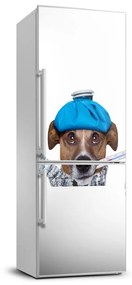 Matrica hűtőre Beteg kutya FridgeStick-70x190-f-56627196