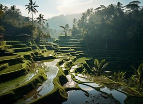 Poszter 55x40cm Zöld kegyhely