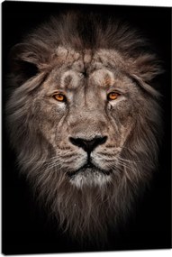 Vászonkép Oroszlán arca Vörös szemek Vadság 40x60 cm