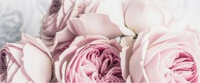 Flizelina fotótapéta Nappaliba és Hálószobába Rózsaszín rózsák 250x104 Ragasztó