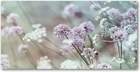 Konyhai panel Vad virágok 120x60 cm Ragasztó