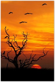 Poszterek 80x120 Naplemente