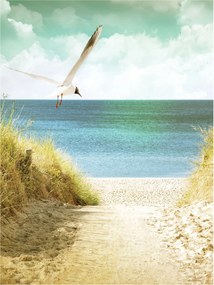 Flizelin fotótapéta Tengerpart Homok Dűnék Pihenés 184x254 +ragasztó