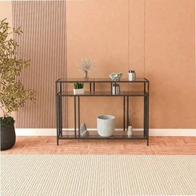 Konzolasztal Venedik - 100 Black, Fume Glass