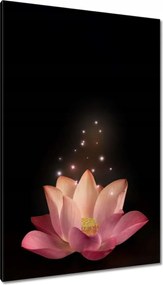 Vászonkép 80x120 Rózsaszín lótuszvirág