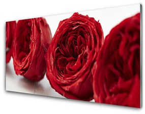 Modern üvegkép Rózsa virágok Plant 100x50 cm