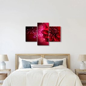 Piros virágok képe (90x60 cm)