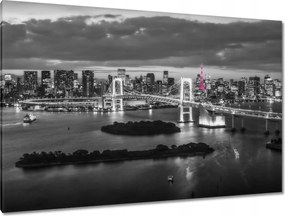 Festmények 120x80 Rózsaszín Eiffel-torony híd