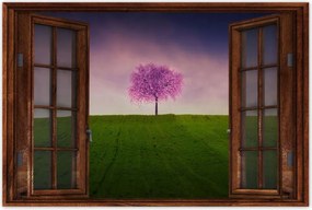 Poszter 60x40 Malackafa