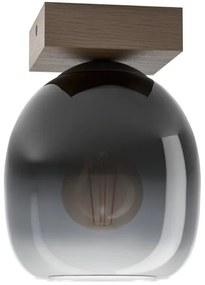 Eglo 900825 - Mennyezeti lámpa FILAGO 1xE27/40W/230V