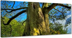 Festmények 180x90 Erős fa