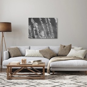 Üveg kép - Fagyos hideg (70x50 cm)