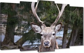 Vászonkép 100x60 Szarvas agancs