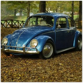 Poszterek 140x140 Bogár Vw autó]