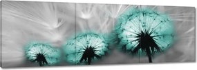 Vászonkép 120x40 Türkiz pitypang virág