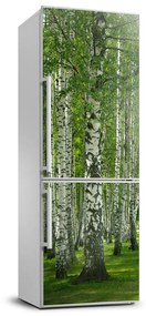 Matrica hűtőre Nyírfa erdő FridgeStick-70x190-f-65572526