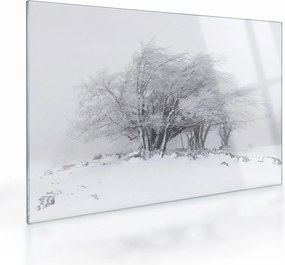 Kép - fehér tél (üvegen) (70x50 cm)