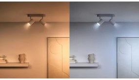 KÉSZLET 3x LED RGBW Dimmelhető izzó PAR16 GU10/4,7W/230V 2200-6500K Wi-Fi - WiZ