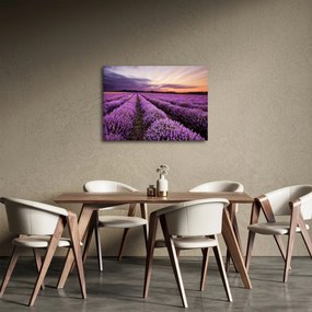 Kép - Levendulamező naplementében (70x50 cm)