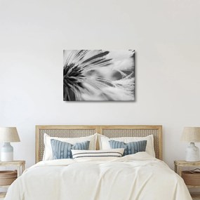 Kép - Makró, fekete-fehér (70x50 cm)